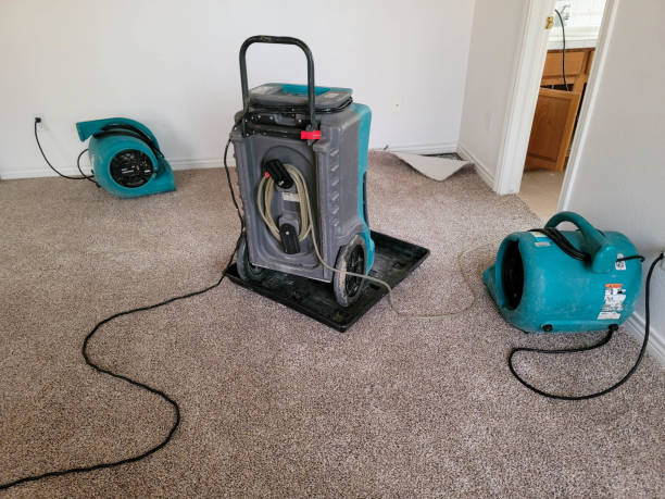 Best Water damage restoration near me  in Metter, GA