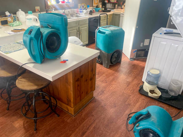 Best Carpet water damage restoration  in Metter, GA