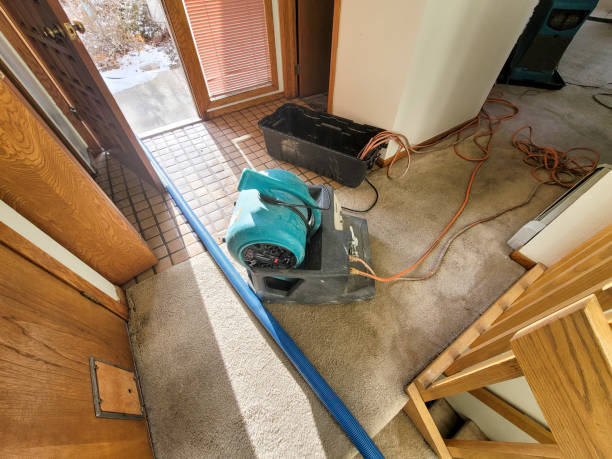 Best Flood damage cleanup  in Metter, GA