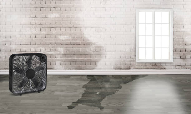 Best 24/7 water damage repair  in Metter, GA