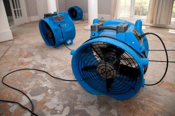 Best 24/7 water damage repair  in Metter, GA