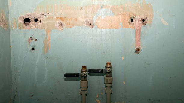 Best Flood restoration services  in Metter, GA