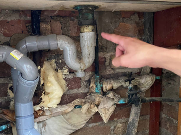 Best Flooded house restoration  in Metter, GA